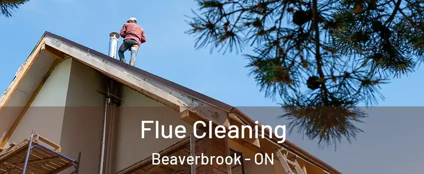  Flue Cleaning Beaverbrook - ON