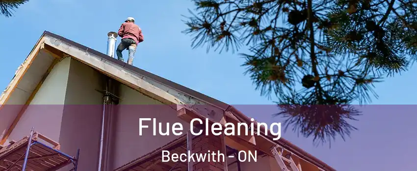  Flue Cleaning Beckwith - ON