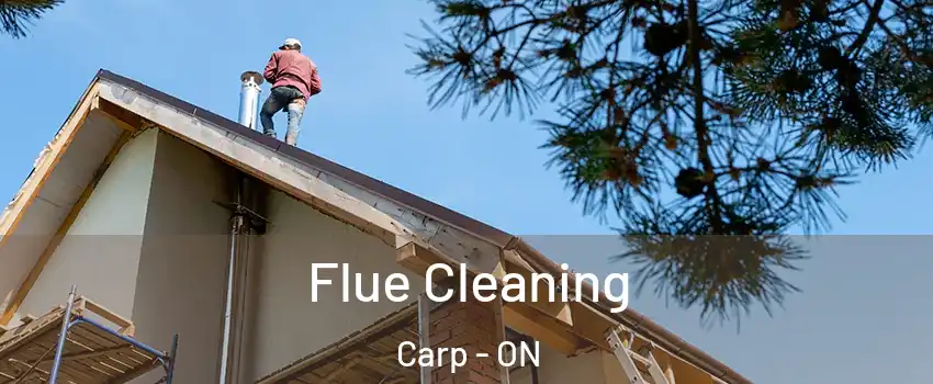  Flue Cleaning Carp - ON