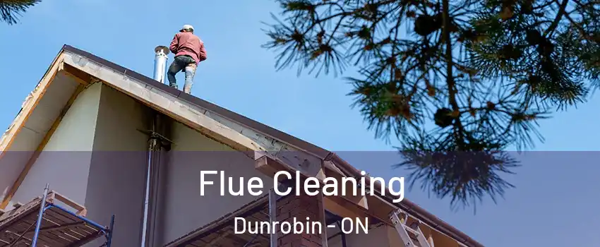 Flue Cleaning Dunrobin - ON