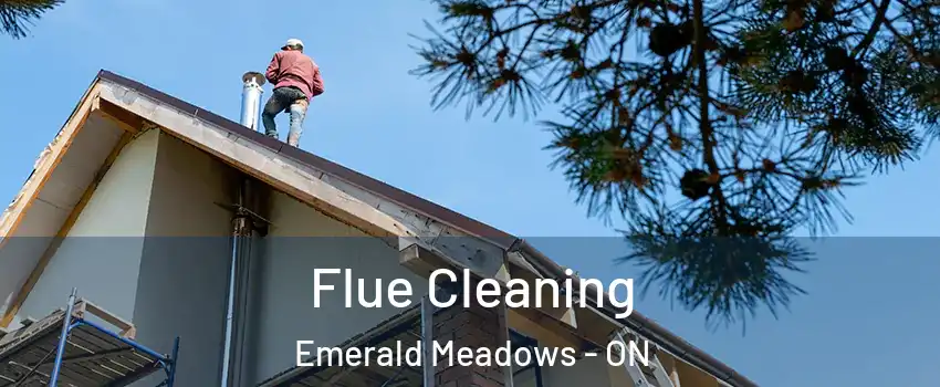  Flue Cleaning Emerald Meadows - ON