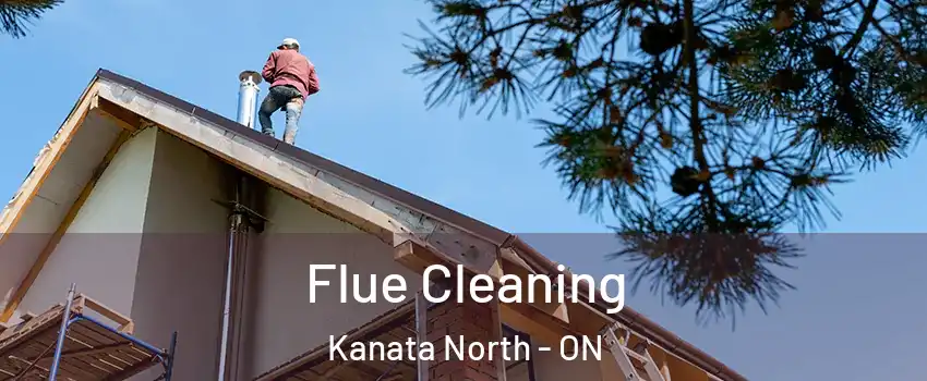  Flue Cleaning Kanata North - ON