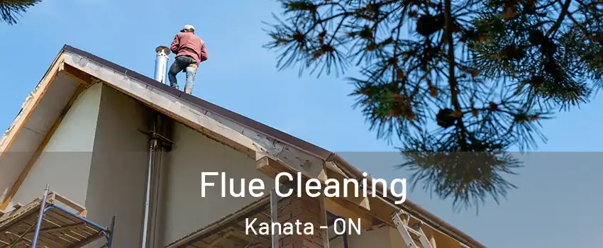  Flue Cleaning Kanata - ON