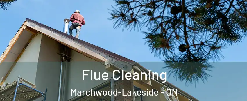  Flue Cleaning Marchwood-Lakeside - ON