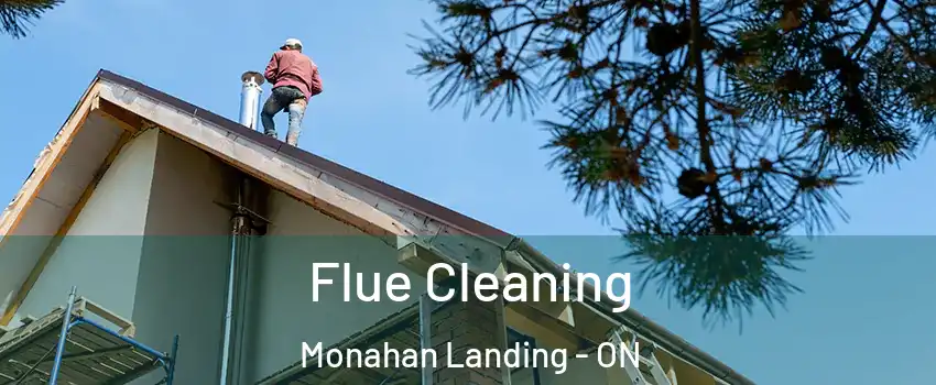 Flue Cleaning Monahan Landing - ON
