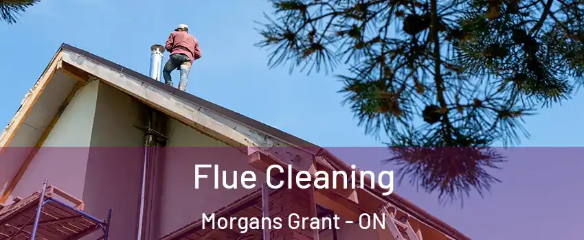 Flue Cleaning Morgans Grant - ON