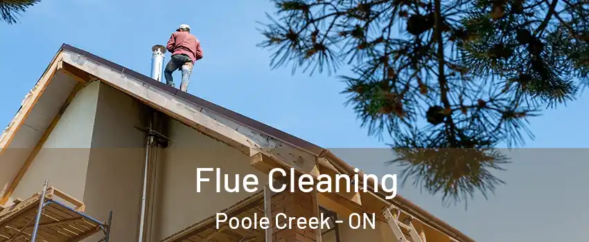 Flue Cleaning Poole Creek - ON