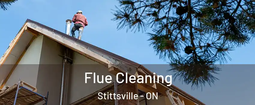  Flue Cleaning Stittsville - ON