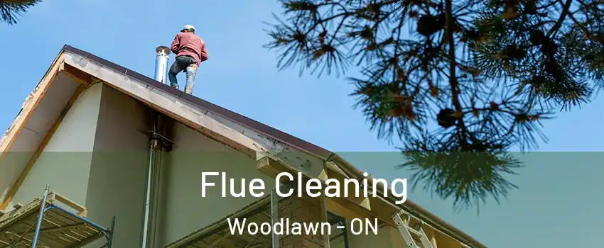  Flue Cleaning Woodlawn - ON