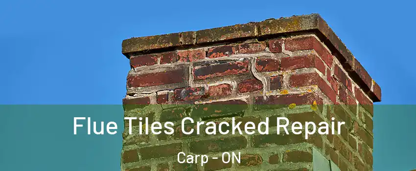  Flue Tiles Cracked Repair Carp - ON
