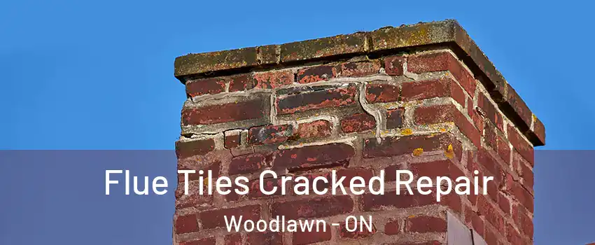  Flue Tiles Cracked Repair Woodlawn - ON