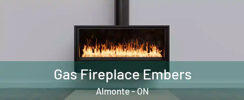  Gas Fireplace Embers Almonte - ON