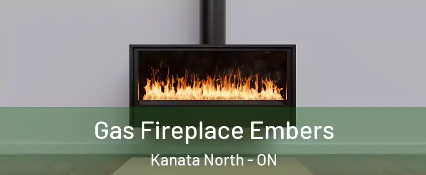 Gas Fireplace Embers Kanata North - ON