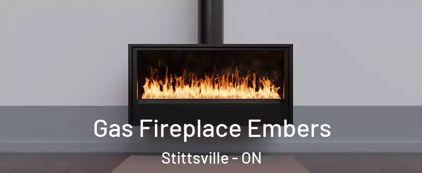  Gas Fireplace Embers Stittsville - ON