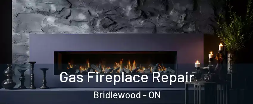  Gas Fireplace Repair Bridlewood - ON