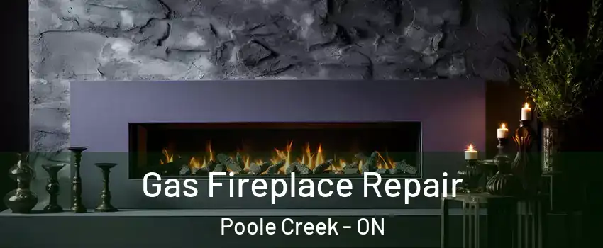  Gas Fireplace Repair Poole Creek - ON