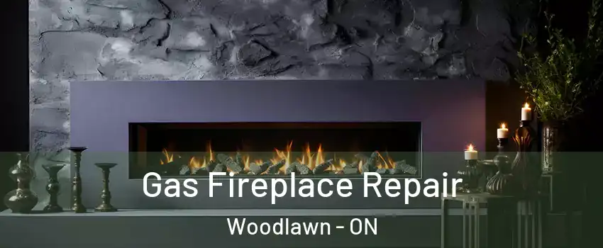  Gas Fireplace Repair Woodlawn - ON
