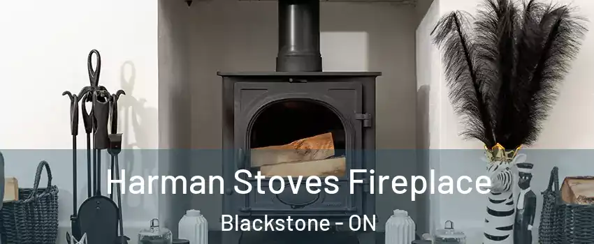  Harman Stoves Fireplace Blackstone - ON