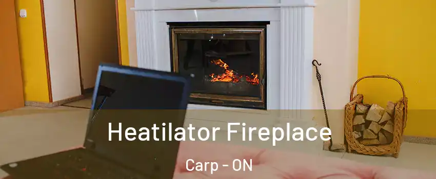  Heatilator Fireplace Carp - ON