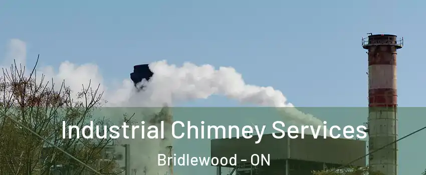  Industrial Chimney Services Bridlewood - ON