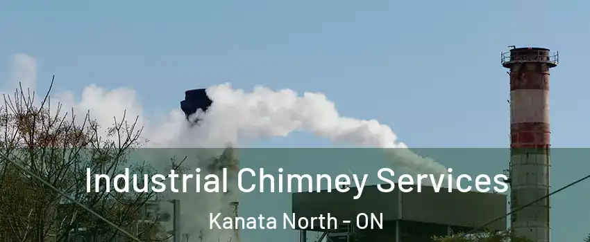  Industrial Chimney Services Kanata North - ON