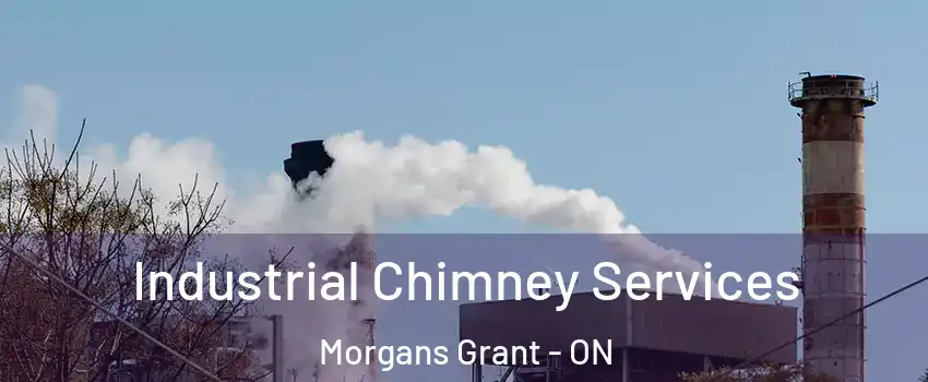 Industrial Chimney Services Morgans Grant - ON