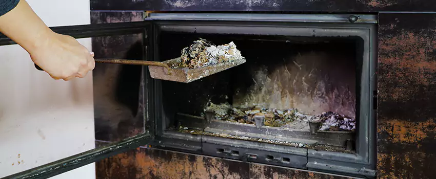 Wood Burning Chimney Odor Removal in Kanata, Ontario