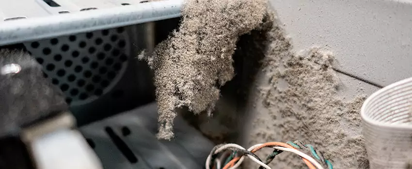 Clogged Dryer Vent Lint Cleaning in Kanata, Ontario