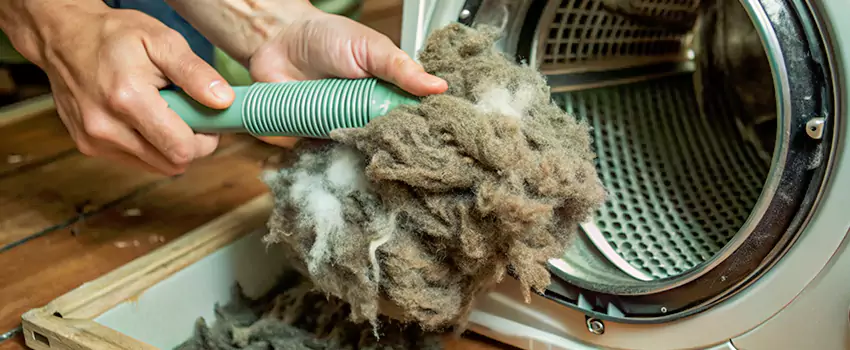 Best Dryer Lint Removal Company in Kanata, Ontario