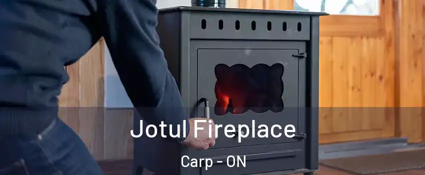  Jotul Fireplace Carp - ON