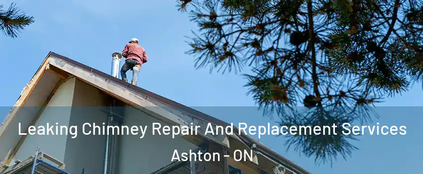  Leaking Chimney Repair And Replacement Services Ashton - ON