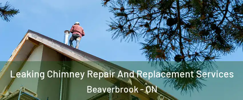 Leaking Chimney Repair And Replacement Services Beaverbrook - ON