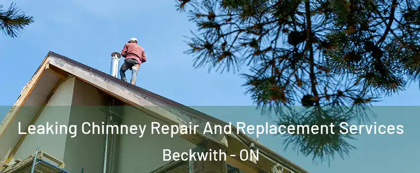  Leaking Chimney Repair And Replacement Services Beckwith - ON