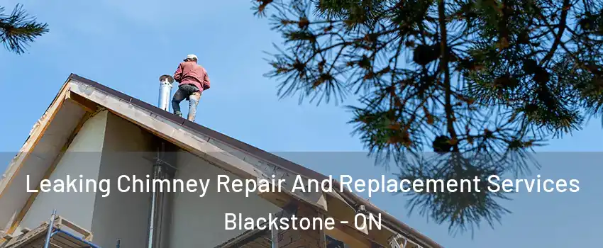  Leaking Chimney Repair And Replacement Services Blackstone - ON