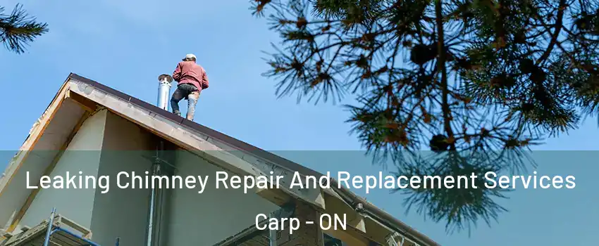  Leaking Chimney Repair And Replacement Services Carp - ON