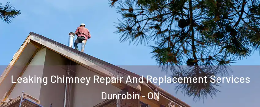 Leaking Chimney Repair And Replacement Services Dunrobin - ON