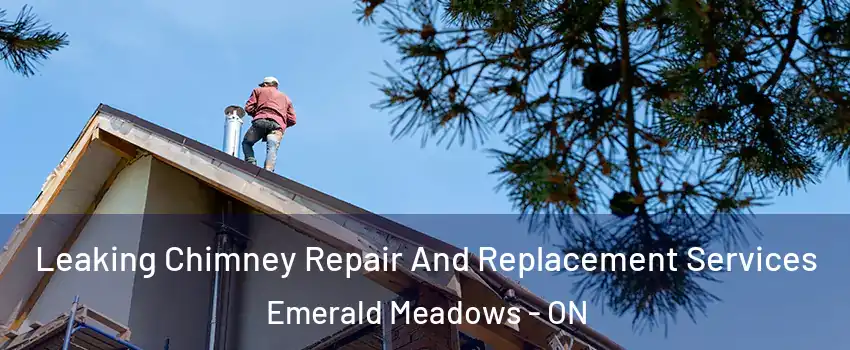  Leaking Chimney Repair And Replacement Services Emerald Meadows - ON