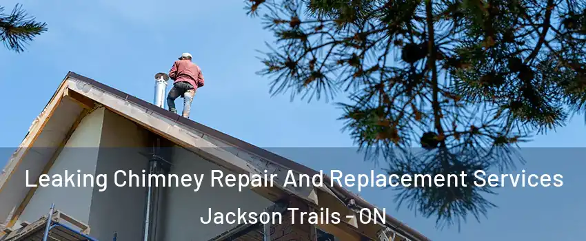 Leaking Chimney Repair And Replacement Services Jackson Trails - ON