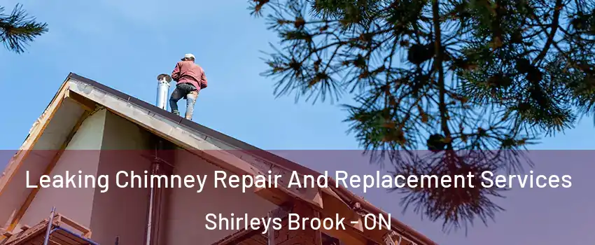  Leaking Chimney Repair And Replacement Services Shirleys Brook - ON