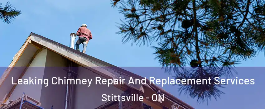 Leaking Chimney Repair And Replacement Services Stittsville - ON