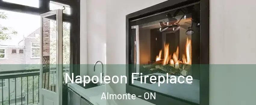 Napoleon Fireplace Almonte - ON