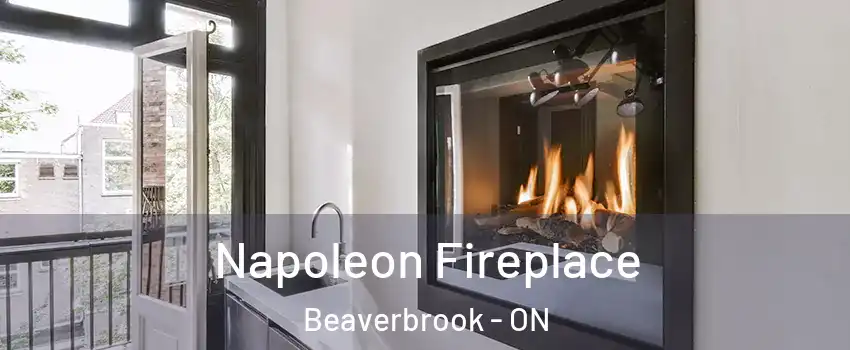 Napoleon Fireplace Beaverbrook - ON