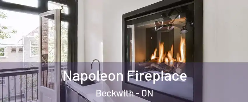  Napoleon Fireplace Beckwith - ON
