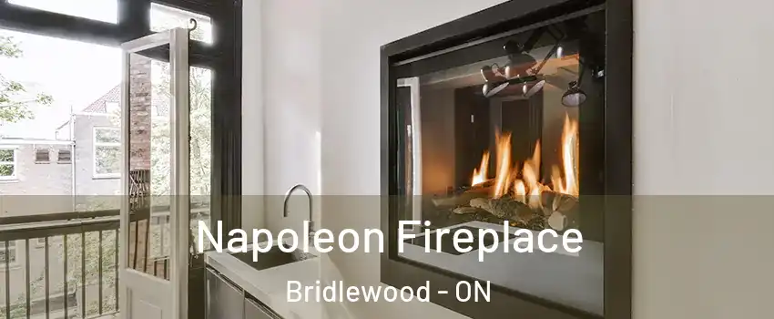 Napoleon Fireplace Bridlewood - ON