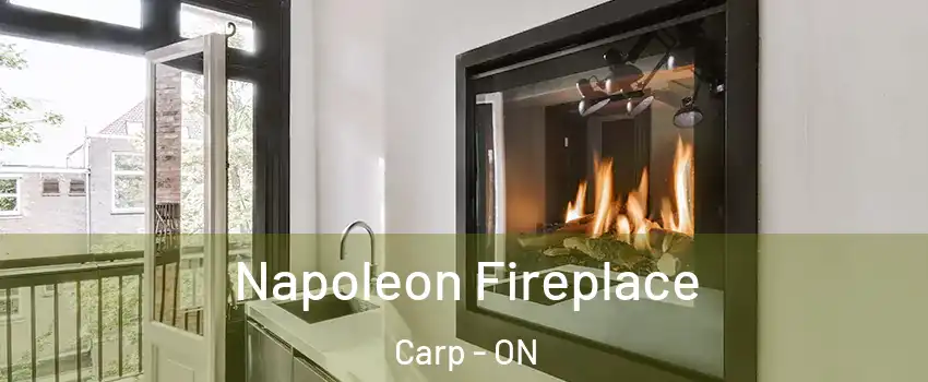 Napoleon Fireplace Carp - ON