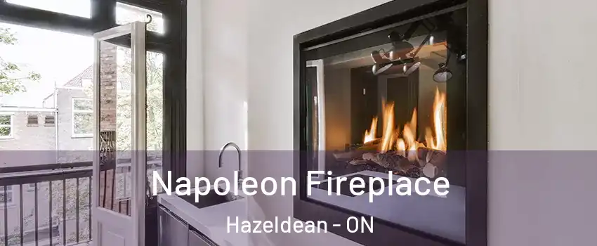  Napoleon Fireplace Hazeldean - ON