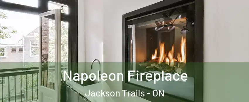  Napoleon Fireplace Jackson Trails - ON