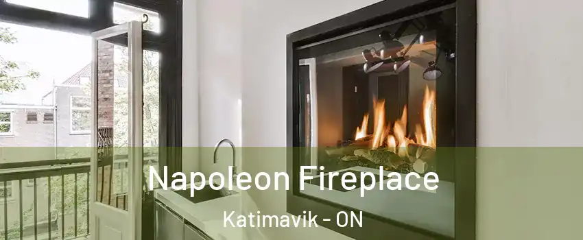  Napoleon Fireplace Katimavik - ON