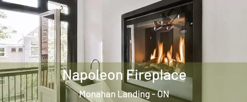 Napoleon Fireplace Monahan Landing - ON