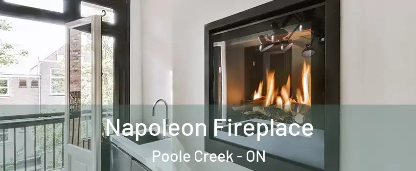  Napoleon Fireplace Poole Creek - ON